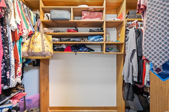 view of spacious closet