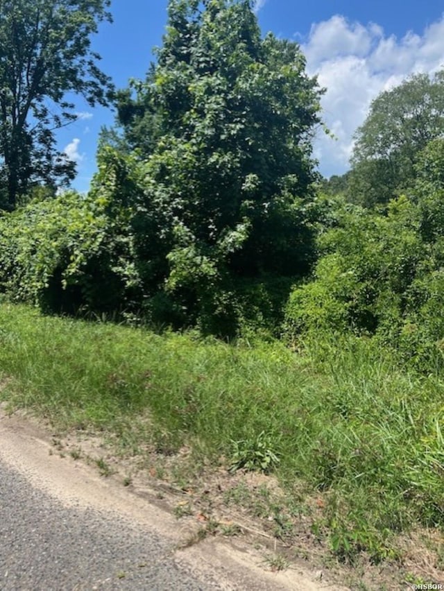 Listing photo 3 for 1418 Birch Street Lot 2 - Block 6, Malvern AR 72104