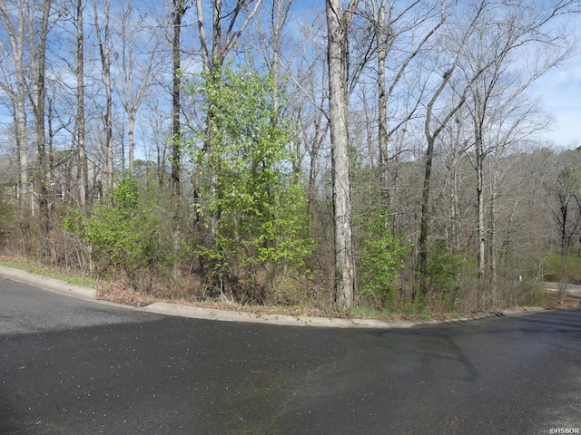 LOT19 Rose Creek Pl, Hot Springs AR, 71901 land for sale