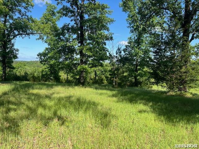 178 Ridgehaven Dr, Pearcy, AR 71964