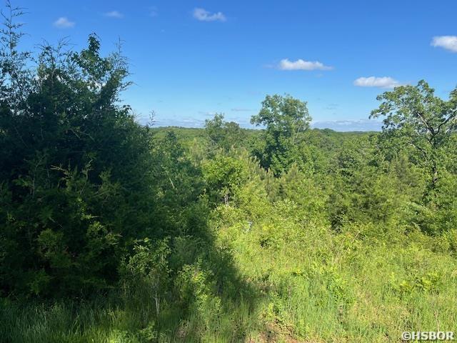 178 Ridgehaven Dr, Pearcy, AR 71964