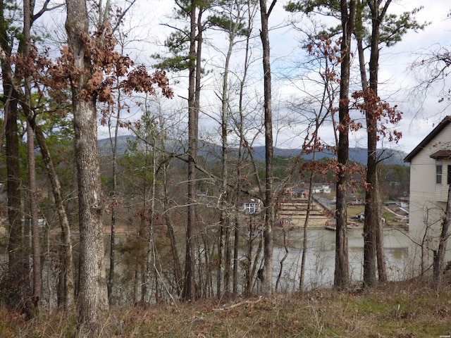 Listing photo 3 for TBD Lakeshore Dr, Hot Springs AR 71901