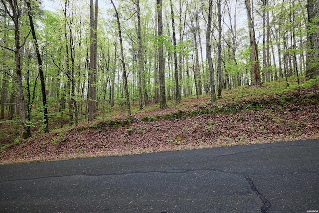 LOT15 Doscientos Way, Hot Springs Village AR, 71909 land for sale