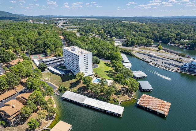 bird's eye view featuring a water view and a view of trees