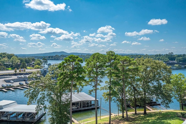 view of water feature with a dock and a mountain view