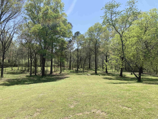 197 Country View Trl, Pearcy, AR 71964 - photo 20
