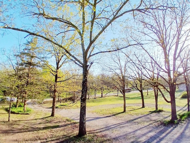 exterior space