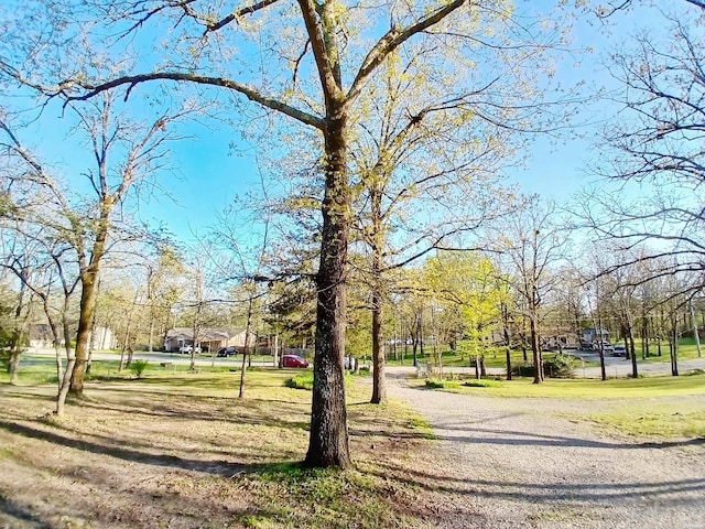 view of property's community