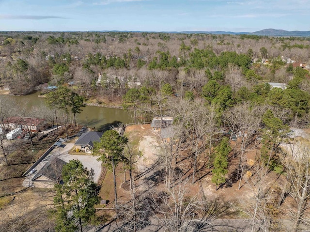 734 Randall Rd, Hot Springs, AR 71913 - photo 9