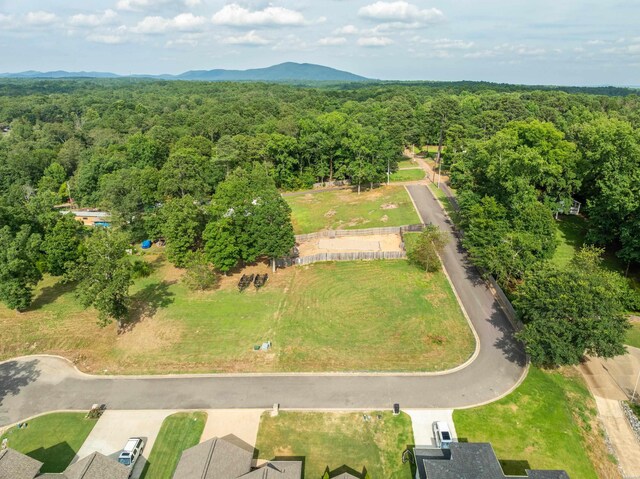 LOT4 Gibbins Trl, Hot Springs, AR 71913 - photo 9