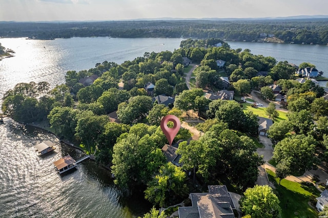 drone / aerial view with a forest view and a water view