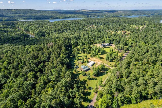 bird's eye view with a water view and a view of trees