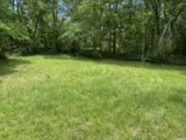 411 Palmetto St, Hot Springs, AR 71901 - photo 14