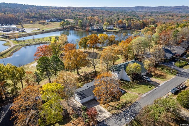 drone / aerial view featuring a water view and a view of trees