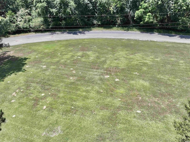 21 Chris Rd, Amity, AR 71921 - view of green lawn