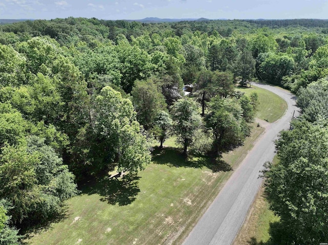21 Chris Rd, Amity, AR 71921 - aerial view of property's location with a forest
