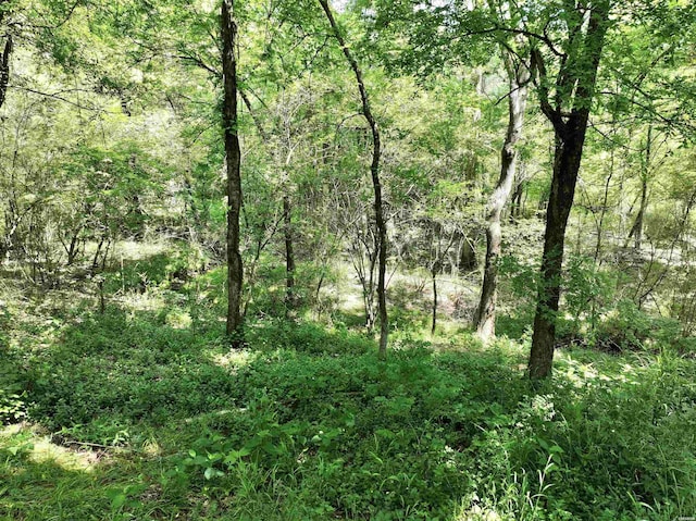 21 Chris Rd, Amity, AR 71921 - view of tree filled area
