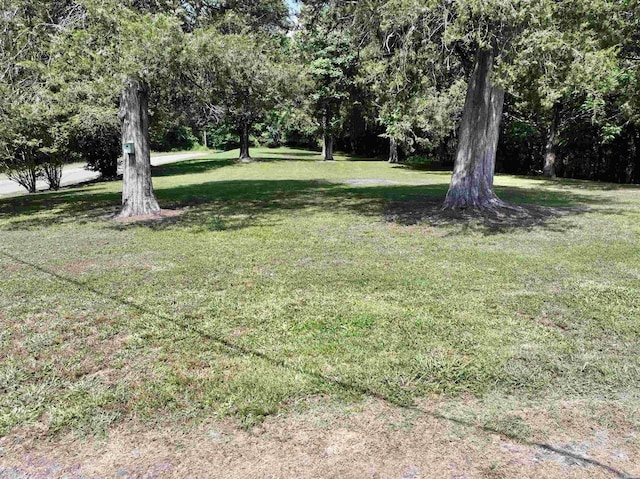 21 Chris Rd, Amity, AR 71921 - view of green lawn
