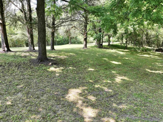 21 Chris Rd, Amity, AR 71921 - view of green lawn