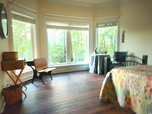 bedroom featuring multiple windows and wood finished floors