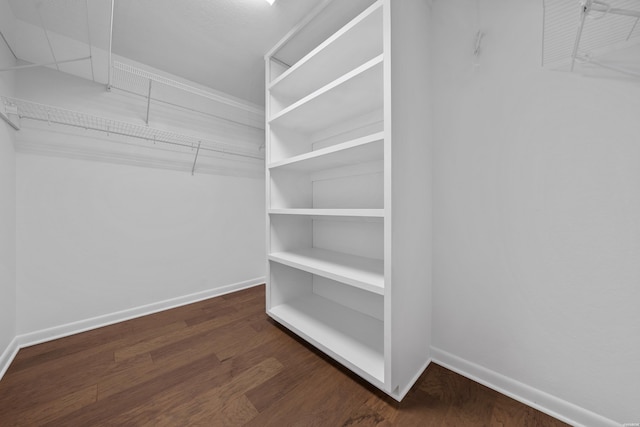 walk in closet featuring dark wood finished floors