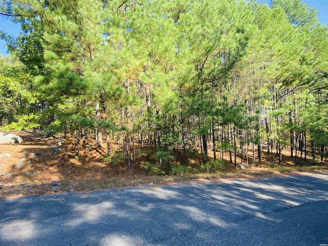 Listing photo 2 for XXX Mandarina Dr, Hot Springs Village AR 71909