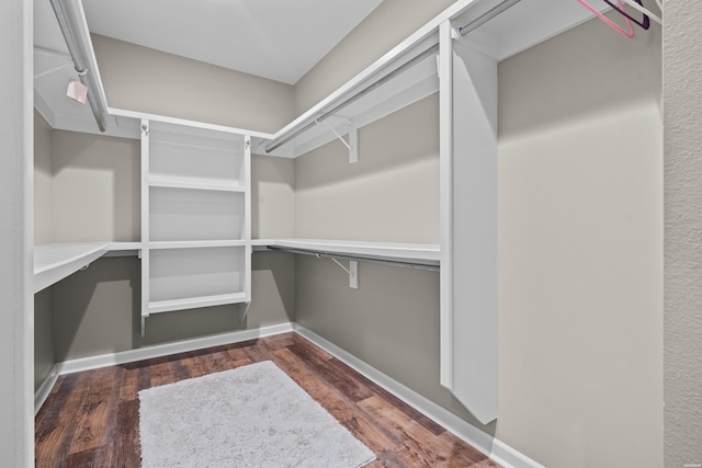 spacious closet with wood finished floors