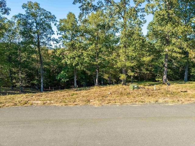 LOT43 Windsong Bay Dr, Hot Springs, AR 71901 - photo 3