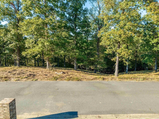 LOT43 Windsong Bay Dr, Hot Springs, AR 71901 - photo 2