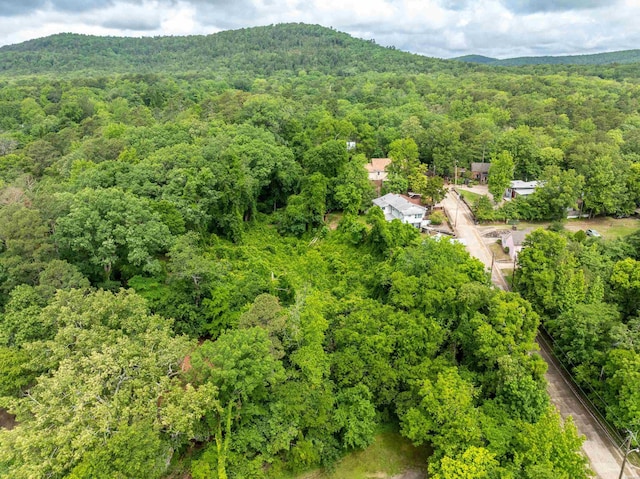 167 Crest St, Hot Springs, AR 71901 - photo 10