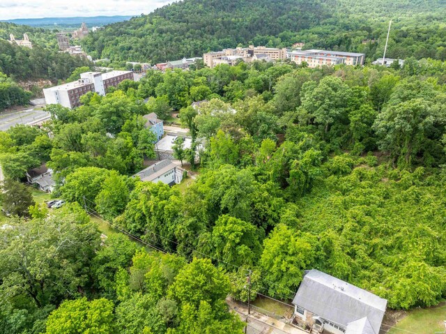167 Crest St, Hot Springs, AR 71901 - photo 9