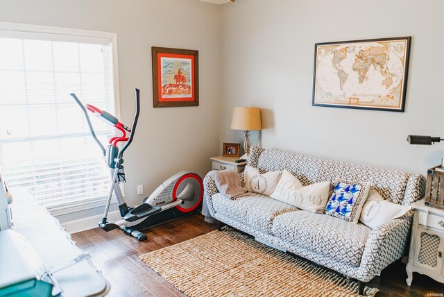 exercise room with plenty of natural light, baseboards, and wood finished floors