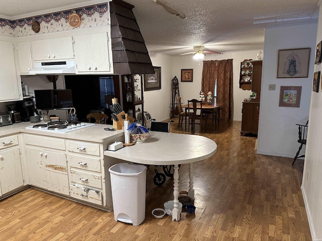 kitchen featuring a textured ceiling, under cabinet range hood, white gas cooktop, light countertops, and light wood-type flooring