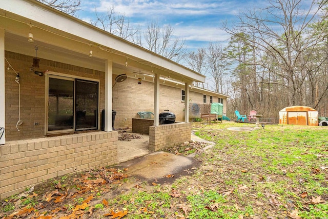 view of yard featuring a patio area, a shed, and an outdoor structure