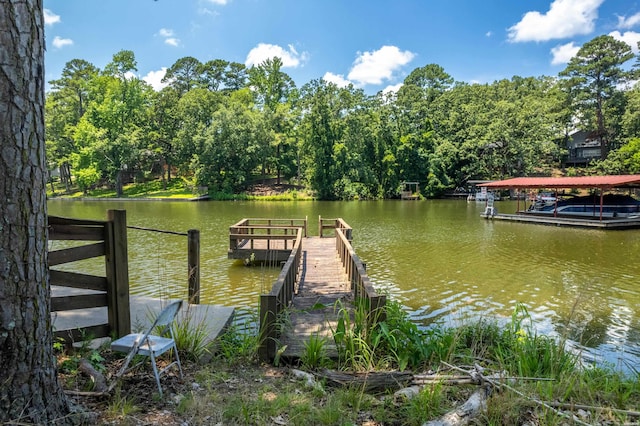 114 Ard Pt, Hot Springs, AR 71913 - photo 48