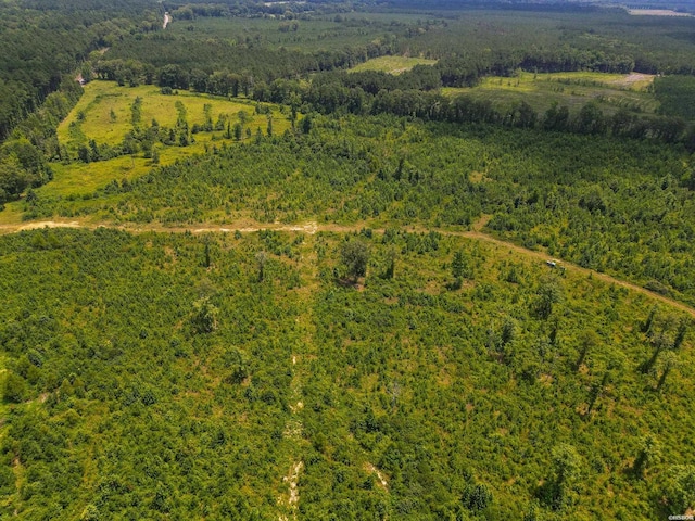 Old Warren Rd, Monticello, AR 71655 - photo 13