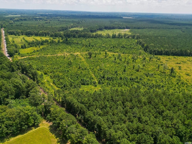 Old Warren Rd, Monticello, AR 71655 - photo 11