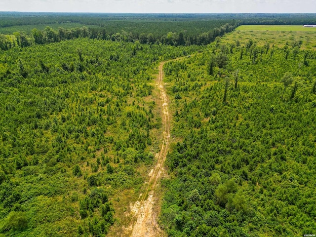 Old Warren Rd, Monticello, AR 71655 - photo 5