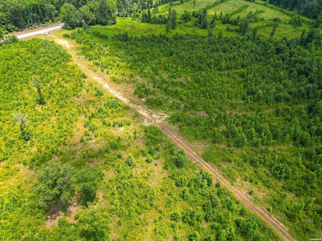 Old Warren Rd, Monticello, AR 71655 - photo 15