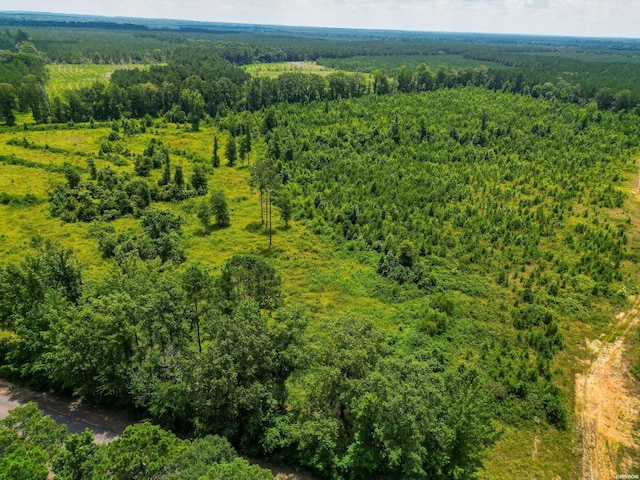 Old Warren Rd, Monticello, AR 71655 - photo 9