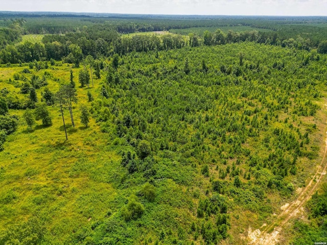 Old Warren Rd, Monticello, AR 71655 - photo 4