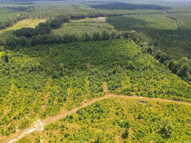 Old Warren Rd, Monticello, AR 71655 - photo 14