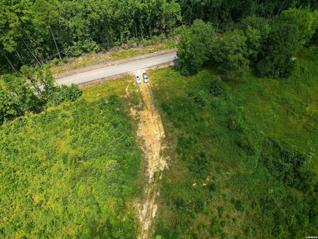 Old Warren Rd, Monticello, AR 71655 - photo 3