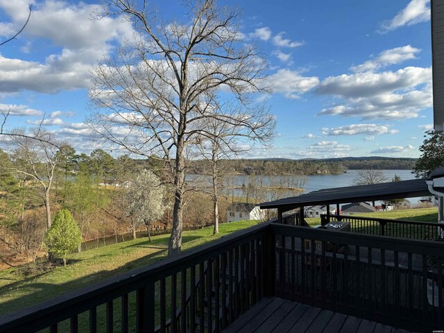 201 Aberina St, Hot Springs, AR 71913 - photo 43