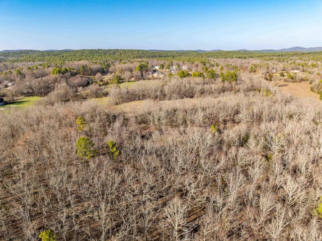000 Owl Creek Cutoff Cutoff, Royal, AR 71968 - photo 5