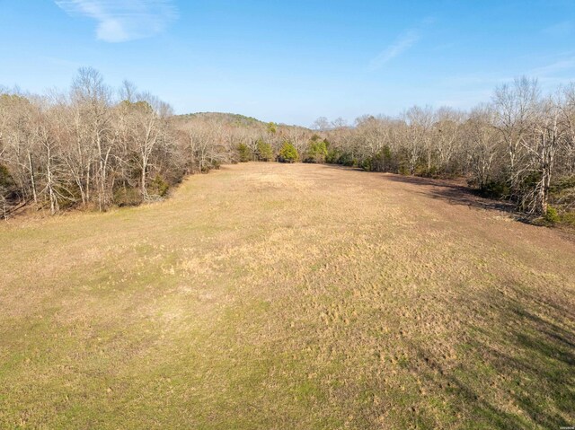 000 Owl Creek Cutoff Cutoff, Royal, AR 71968 - photo 8