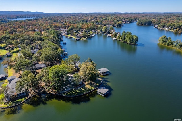 119 Windy Pt Unit 121Windy, Point, Hot Springs, AR 71913 - drone / aerial view featuring a water view and a view of trees