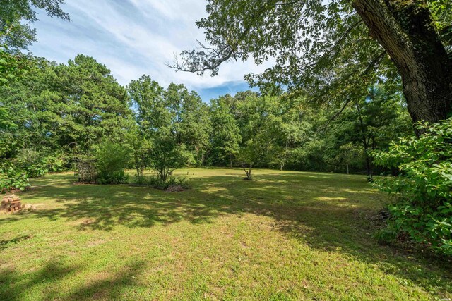 2857 Chestnut Dr, Bismarck, AR 71929 - photo 31