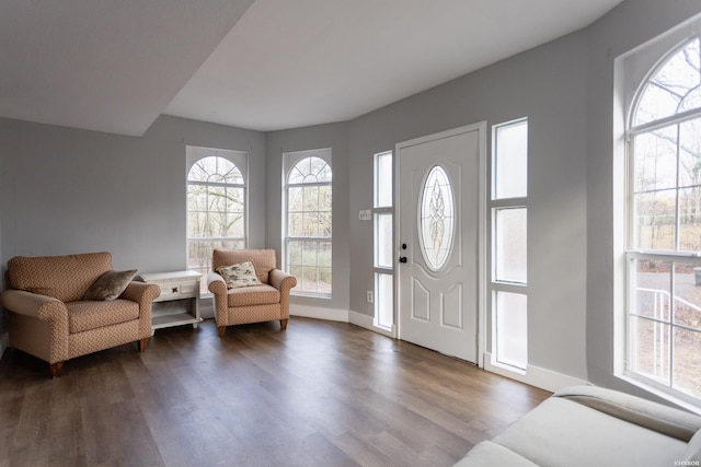 foyer with baseboards and dark wood-style flooring