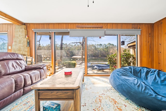 living room with wood walls and a wealth of natural light